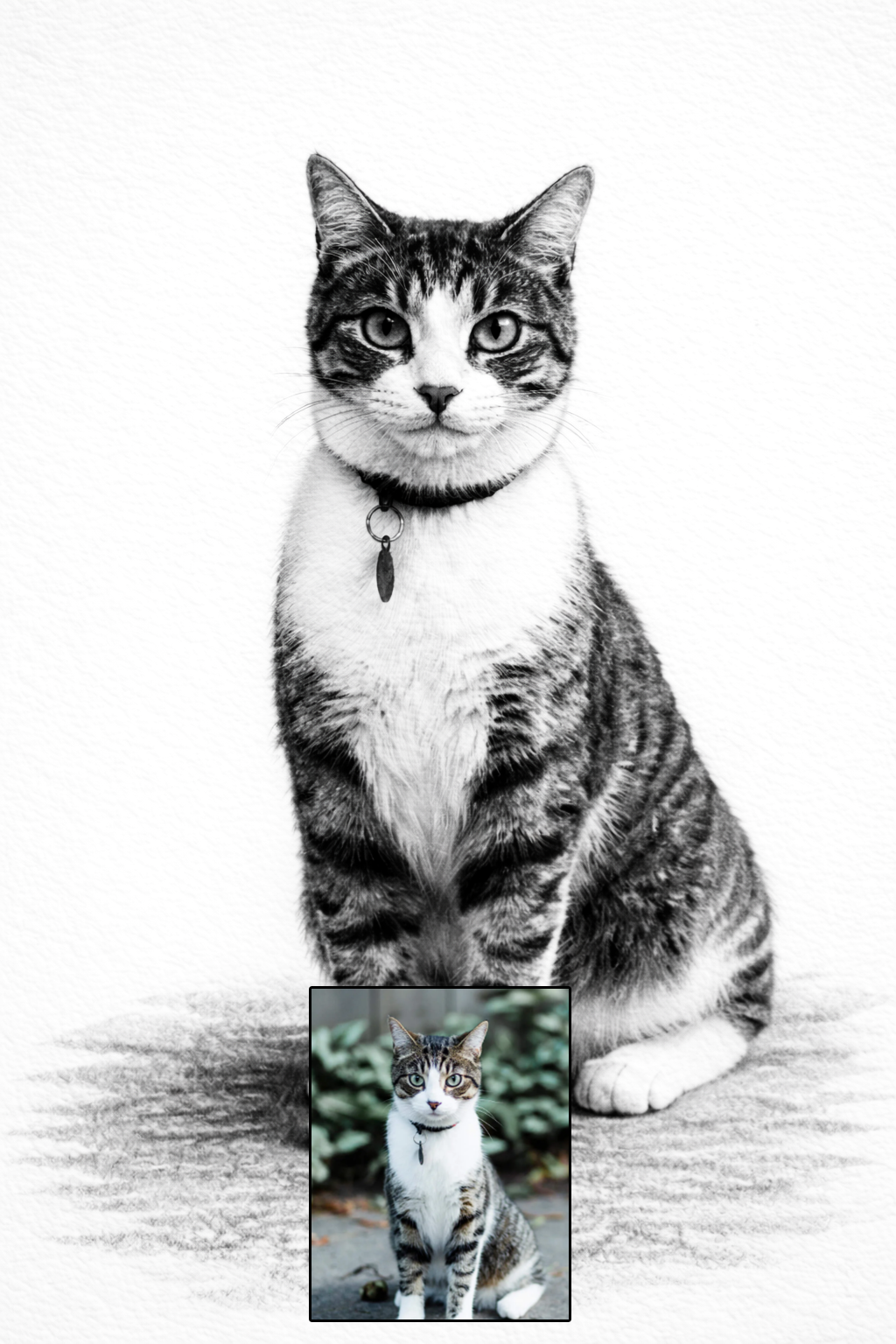 Pet portrait in pencil